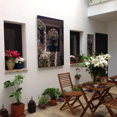 Boutique Alma Andalusi * קורדובה