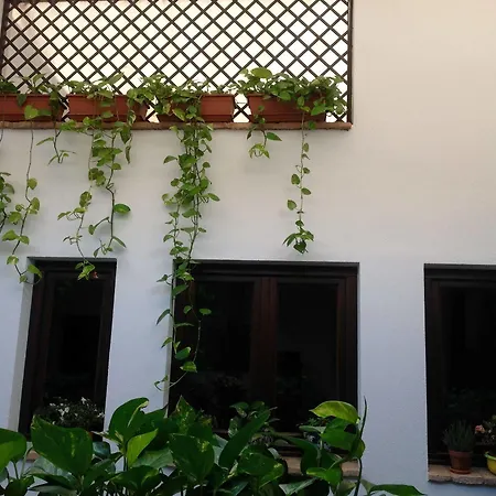 בית הארחה Boutique Alma Andalusi קורדובה