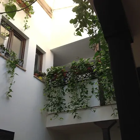 Boutique Alma Andalusi בית הארחה